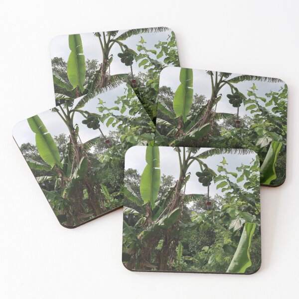 Item preview, Banana Plant designed and sold by Crystaliii.