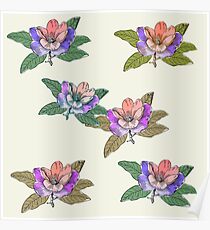 Block Colour Floral Pattern Poster