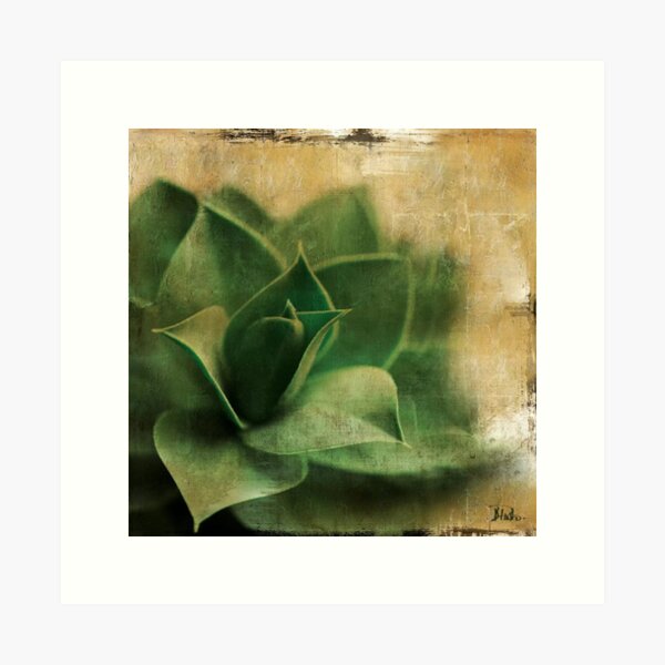 Succulent Art Art Print