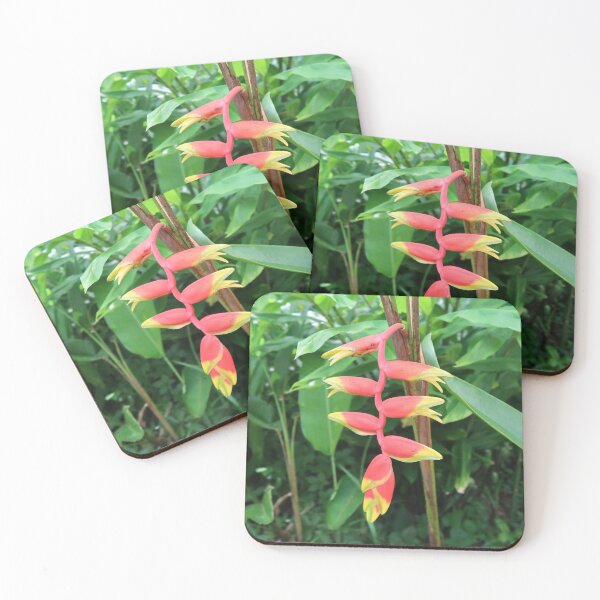 Item preview, Heliconia designed and sold by Crystaliii.
