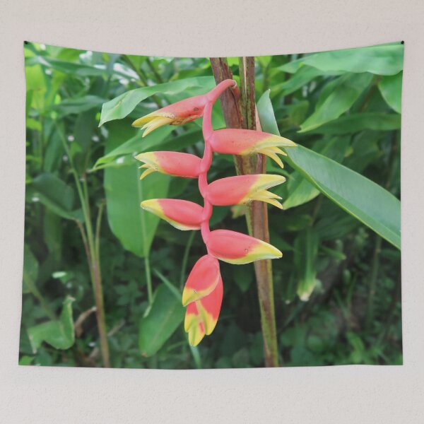 Item preview, Heliconia designed and sold by Crystaliii.