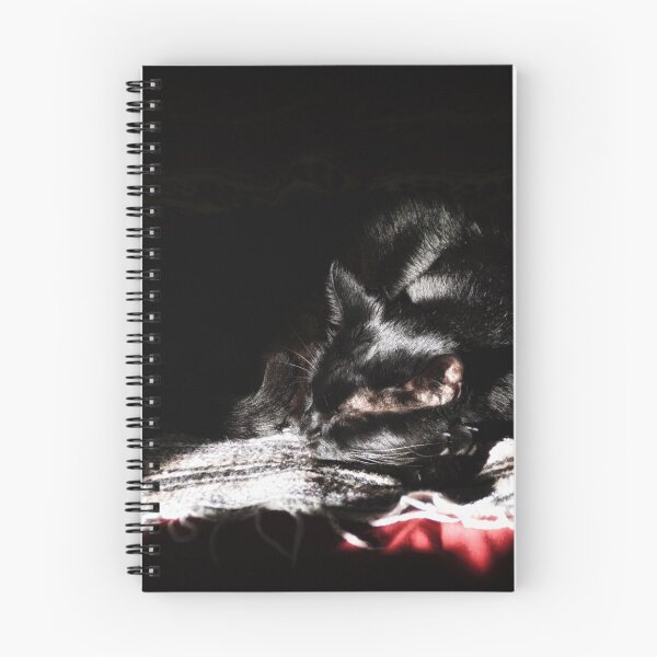 Item preview, Gato negro durmiendo en rayo de luz designed and sold by Stephen Orsillo.
