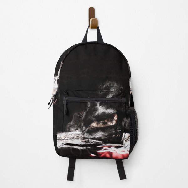 Item preview, Black cat sleeping in ray of light designed and sold by Stephen Orsillo.