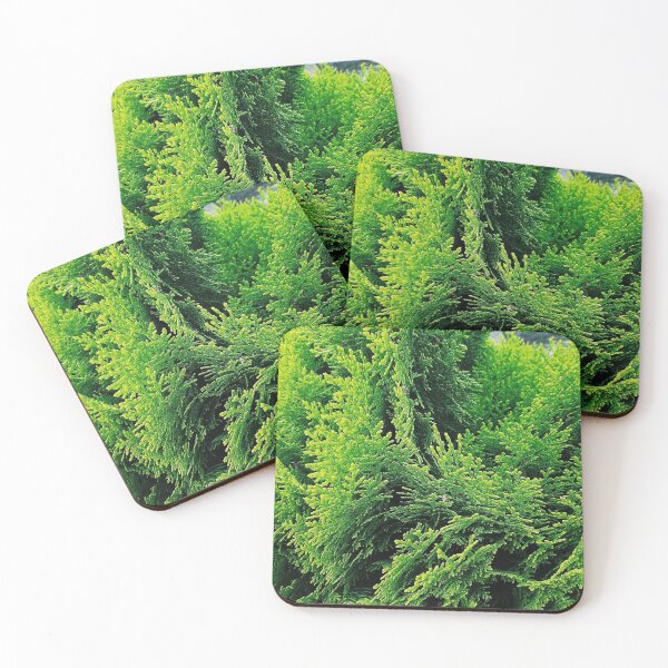 Item preview, Conifer leaves designed and sold by rkaidesigns.
