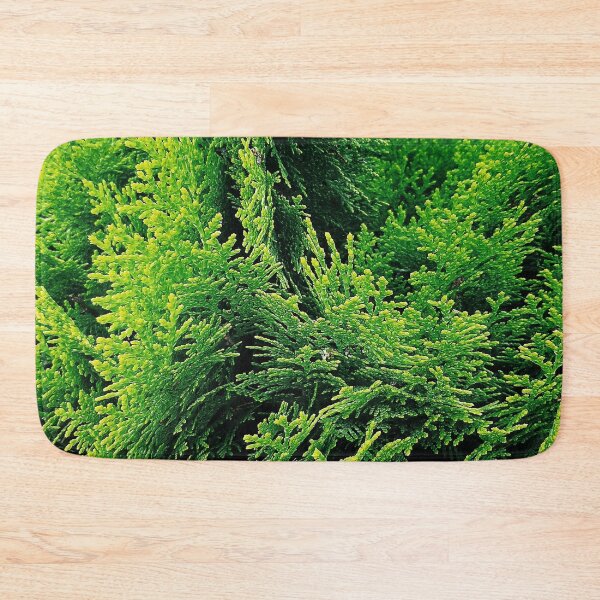 Item preview, Conifer leaves designed and sold by rkaidesigns.