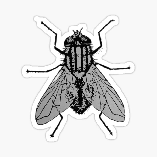 Item preview, House Fly designed and sold by derbyisdead.