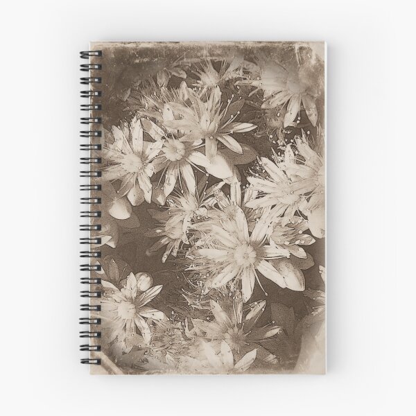 Item preview, art du jour designed and sold by DMEIERS.