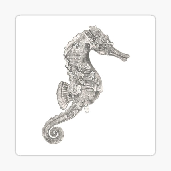 Harry the Seahorse Sticker