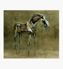 Wooden Horse Photographic Print