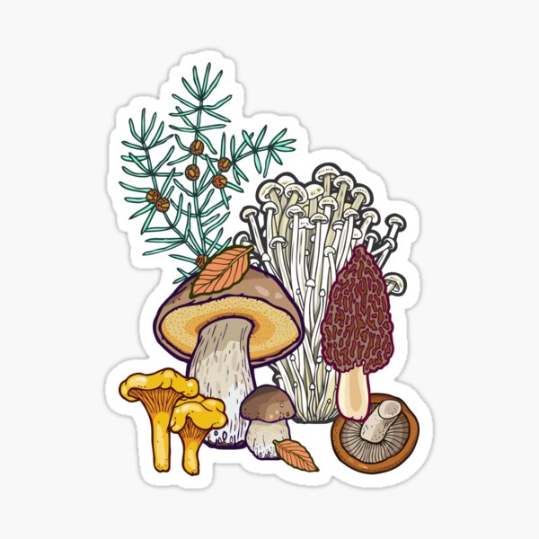 Dark mushroom forest Sticker