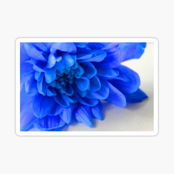 Item preview, Blue Petals designed and sold by wovenbright.