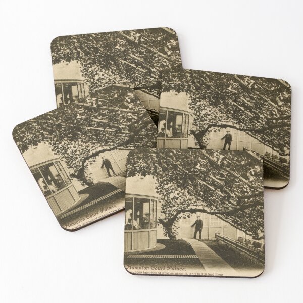 Item preview, The Great Vine, Hampton Court Palace ca 1900 designed and sold by aapshop.