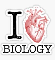 I Love Heart Biology T Shirt - Love Science Sticker