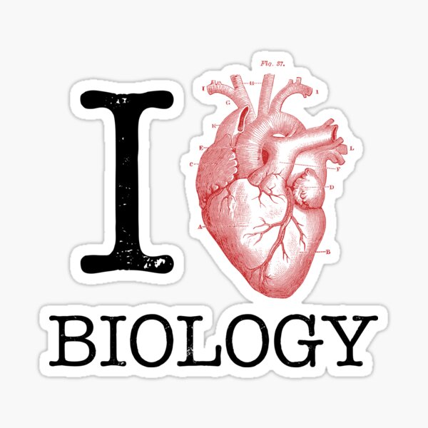 Vista previa del artículo con la obra «Amo la camiseta de la biología del corazón - amor ciencia», diseñado y vendido por SteamerTees.