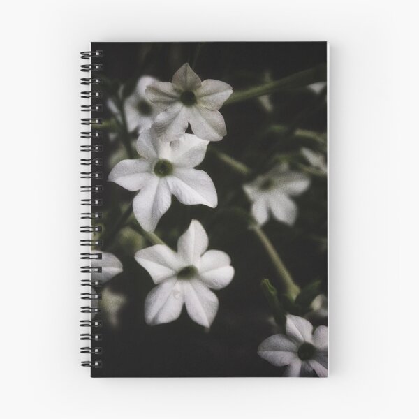Item preview, grainy stylized nicotiana alata blooming tobacco plant in the dark designed and sold by Stephen Orsillo.