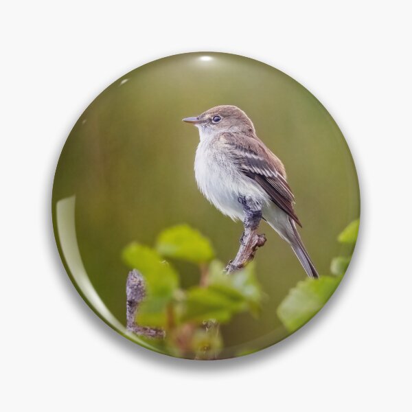 Item preview, Flycatcher designed and sold by PhotoArt by Joan Carroll.
