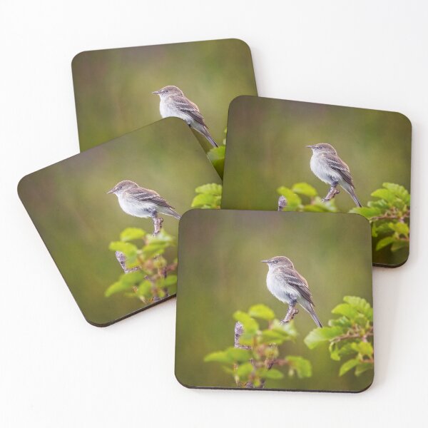 Item preview, Flycatcher designed and sold by PhotoArt by Joan Carroll.