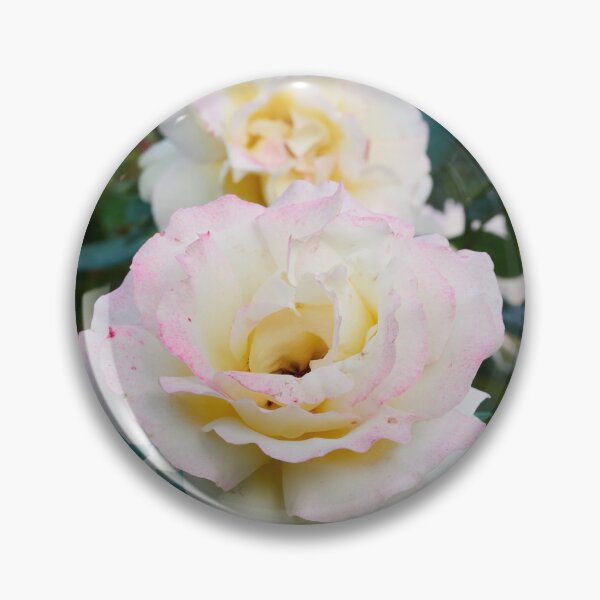 Item preview, Just blushing a bit. Rose designed and sold by Jouko Lehto Photography.
