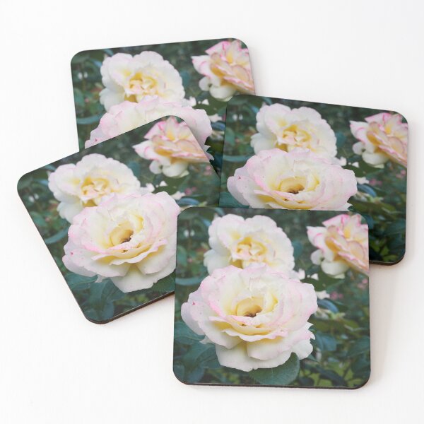 Item preview, Just blushing a bit. Rose designed and sold by Jouko Lehto Photography.