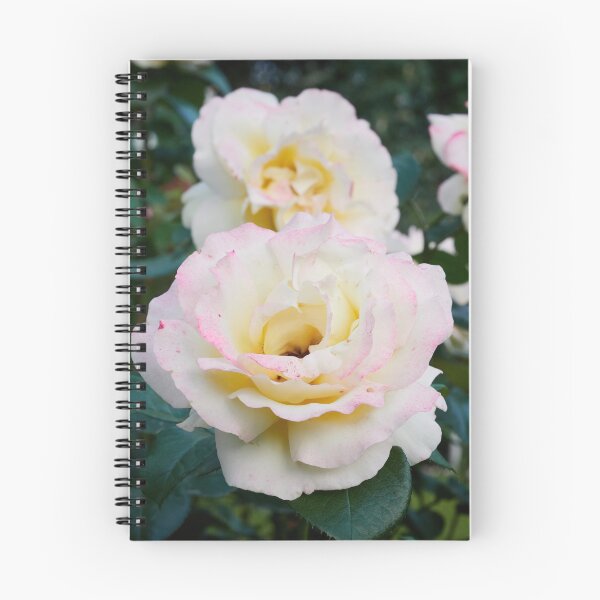 Item preview, Just blushing a bit. Rose designed and sold by Jouko Lehto Photography.