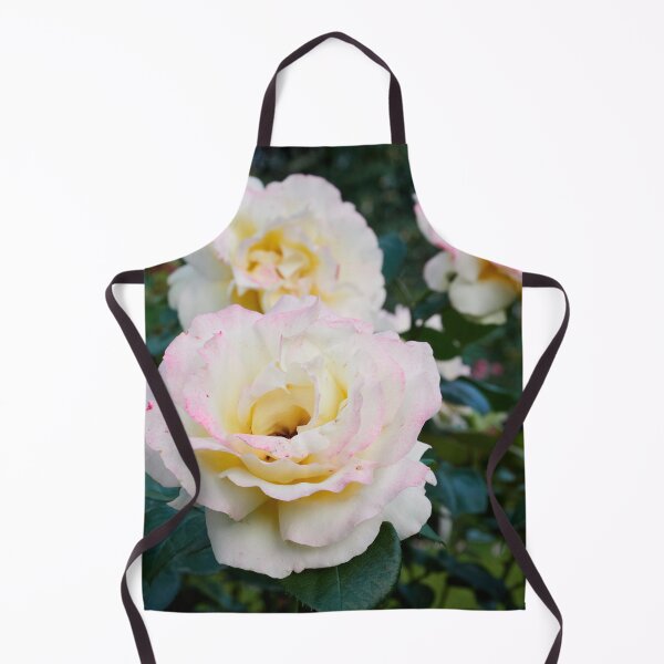Item preview, Just blushing a bit. Rose designed and sold by Jouko Lehto Photography.
