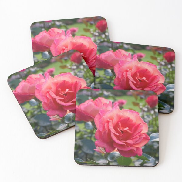 Item preview, Deep pink on the green fields. Rose designed and sold by Jouko Lehto Photography.