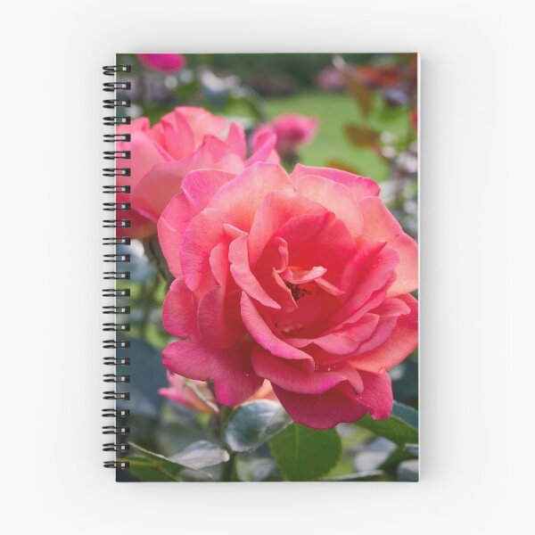 Item preview, Deep pink on the green fields. Rose designed and sold by Jouko Lehto Photography.
