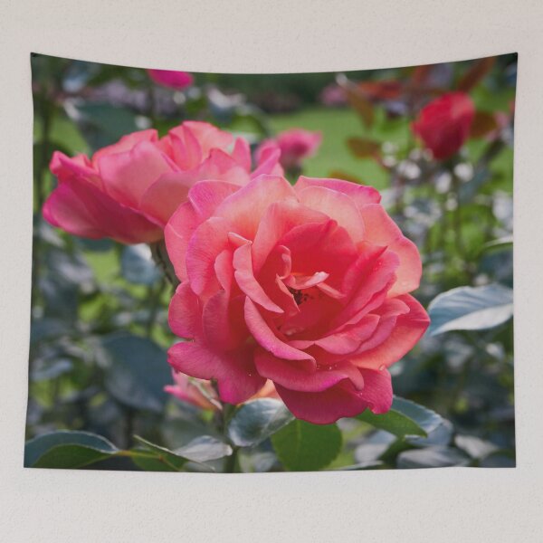 Item preview, Deep pink on the green fields. Rose designed and sold by Jouko Lehto Photography.