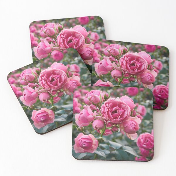 Item preview, Candy pink blossoms. Rose designed and sold by Jouko Lehto Photography.