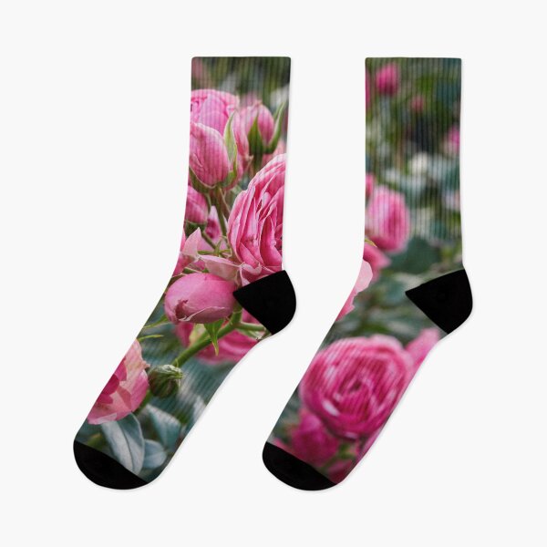 Item preview, Candy pink blossoms. Rose designed and sold by Jouko Lehto Photography.