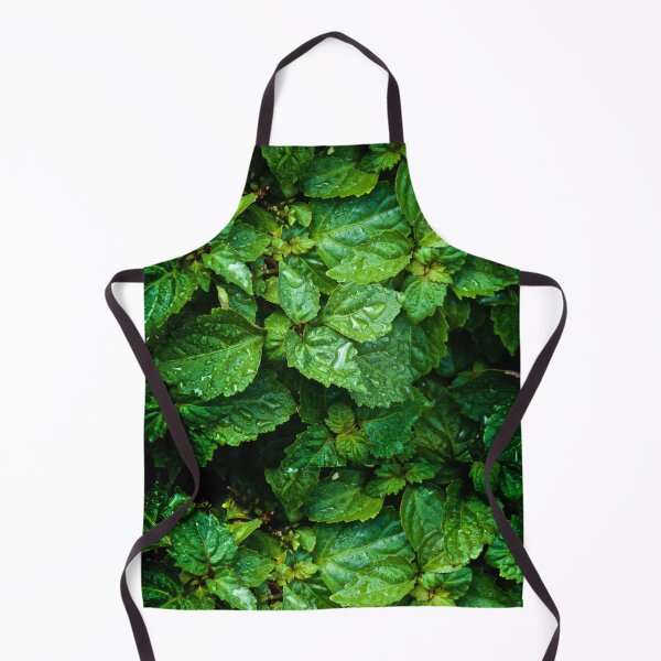 Item preview, looking down at Pogostemon cablin patchouli plant wet from morning rain designed and sold by Stephen Orsillo.
