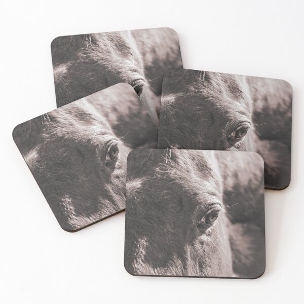Item preview, Closeup photo of horse face and eye designed and sold by KOEHNESKLICKS.