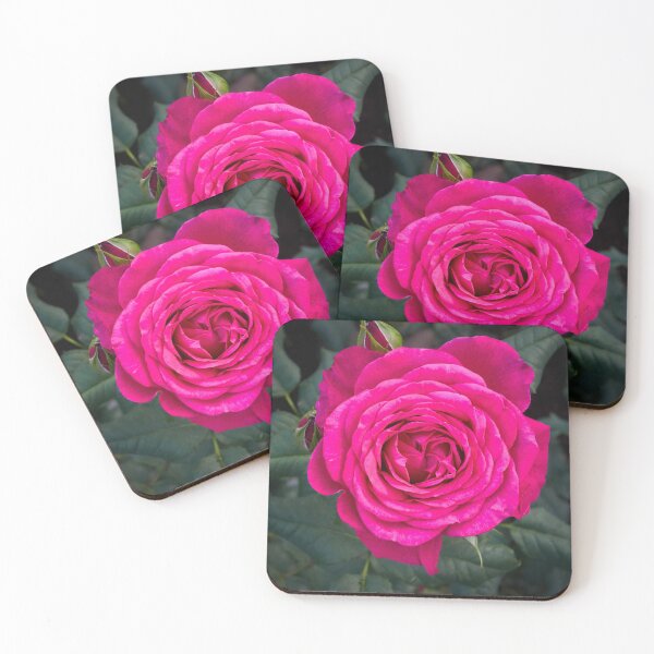 Item preview, Pink pinker pinkist. Rose designed and sold by Jouko Lehto Photography.