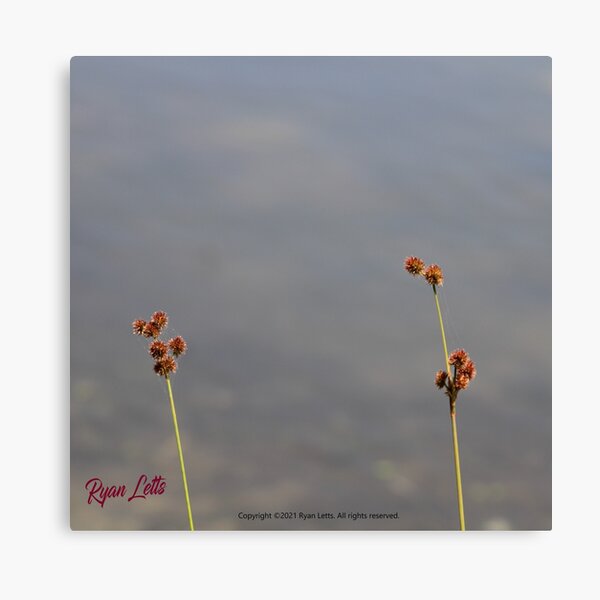 Item preview, It is in the weeds designed and sold by Reimagine by Ryan.