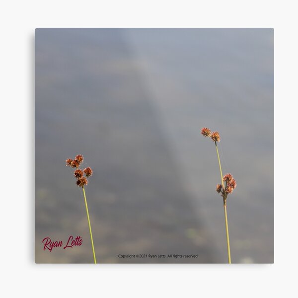 Item preview, It is in the weeds designed and sold by Reimagine by Ryan.