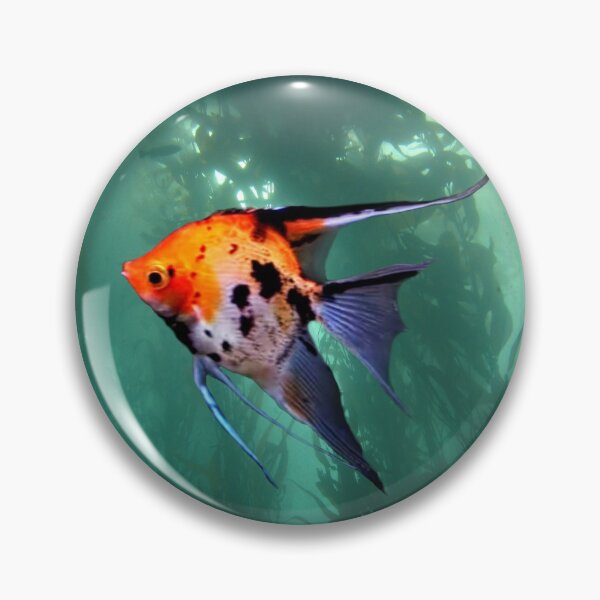 Item preview, KOI ANGELFISH - ANGELFISH designed and sold by Danicus666.