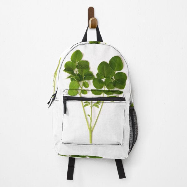 Item preview, beautiful leafed branch of moringa tree over white designed and sold by Stephen Orsillo.