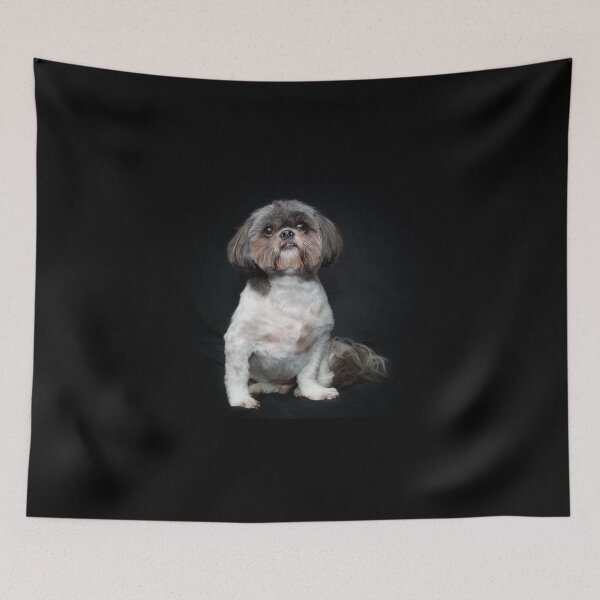 Item preview, purebred shih tzu portrait on black background designed and sold by Stephen Orsillo.