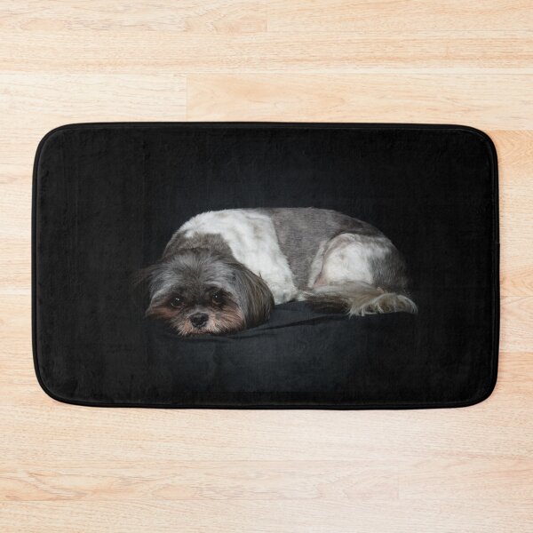 Item preview, Shih Tzu dog lying down on black background designed and sold by Stephen Orsillo.