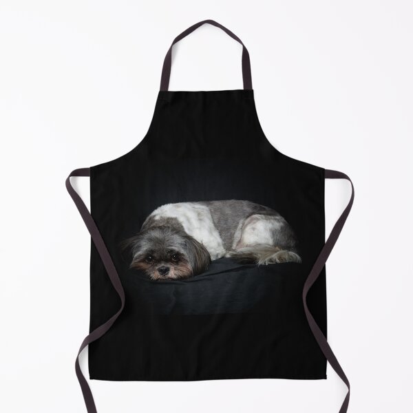 Item preview, Shih Tzu dog lying down on black background designed and sold by Stephen Orsillo.