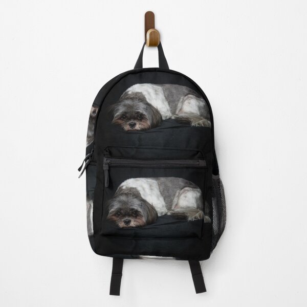 Item preview, Shih Tzu dog lying down on black background designed and sold by Stephen Orsillo.