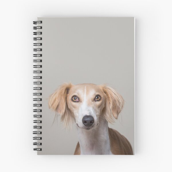 Item preview, Smug Saluki! designed and sold by Penel.