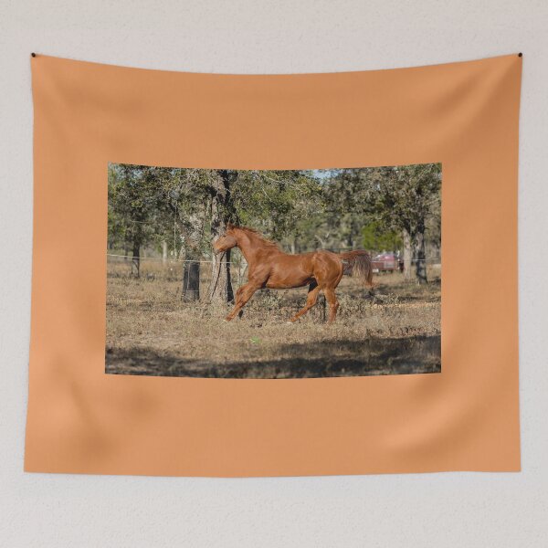 Item preview, Red Horse Running designed and sold by KOEHNESKLICKS.