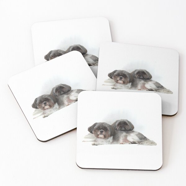 Item preview, two cute shih tzu dogs lying on white looking at viewer designed and sold by Stephen Orsillo.