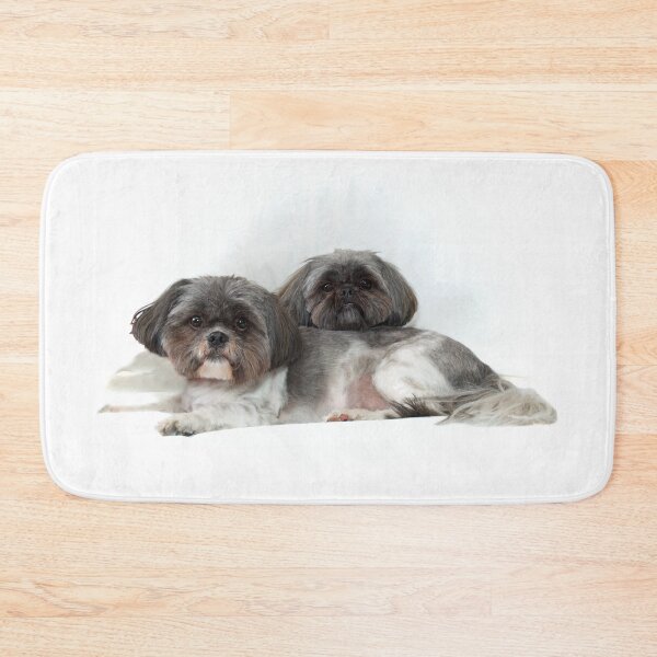 Item preview, two cute shih tzu dogs lying on white looking at viewer designed and sold by Stephen Orsillo.
