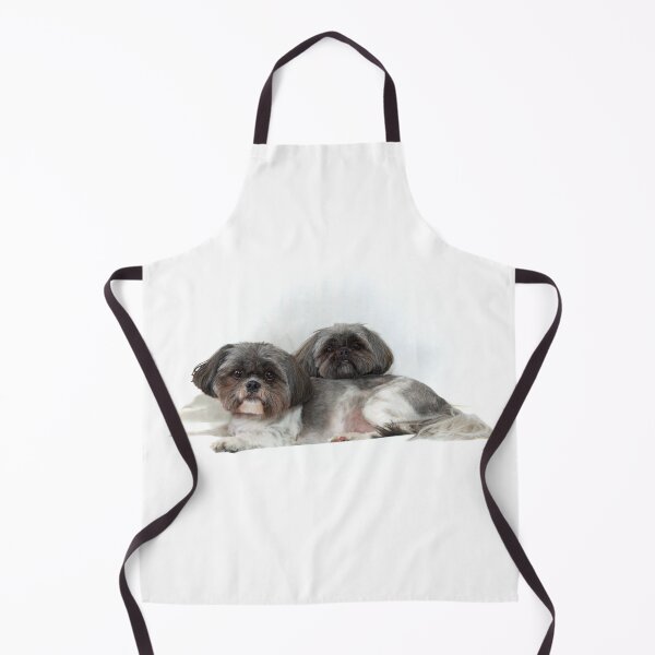 Item preview, two cute shih tzu dogs lying on white looking at viewer designed and sold by Stephen Orsillo.