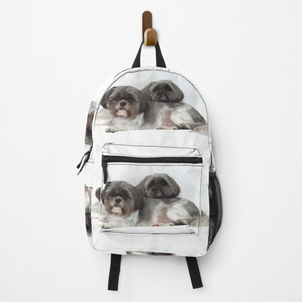 Item preview, two cute shih tzu dogs lying on white looking at viewer designed and sold by Stephen Orsillo.