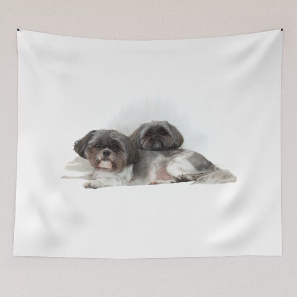 Item preview, two cute shih tzu dogs lying on white looking at viewer designed and sold by Stephen Orsillo.