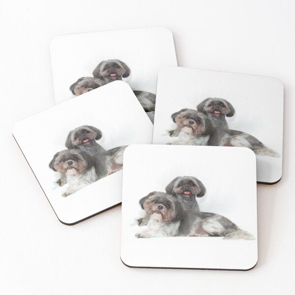 Item preview, two cute shih tzu dogs on white background looking at viewer designed and sold by Stephen Orsillo.