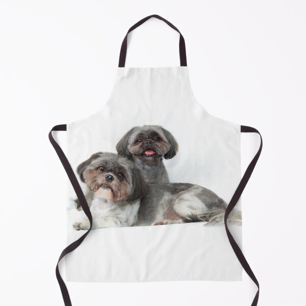 Item preview, two cute shih tzu dogs on white background looking at viewer designed and sold by Stephen Orsillo.